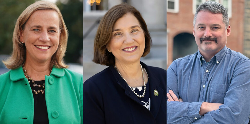 Meet the Democratic Candidates for Governor